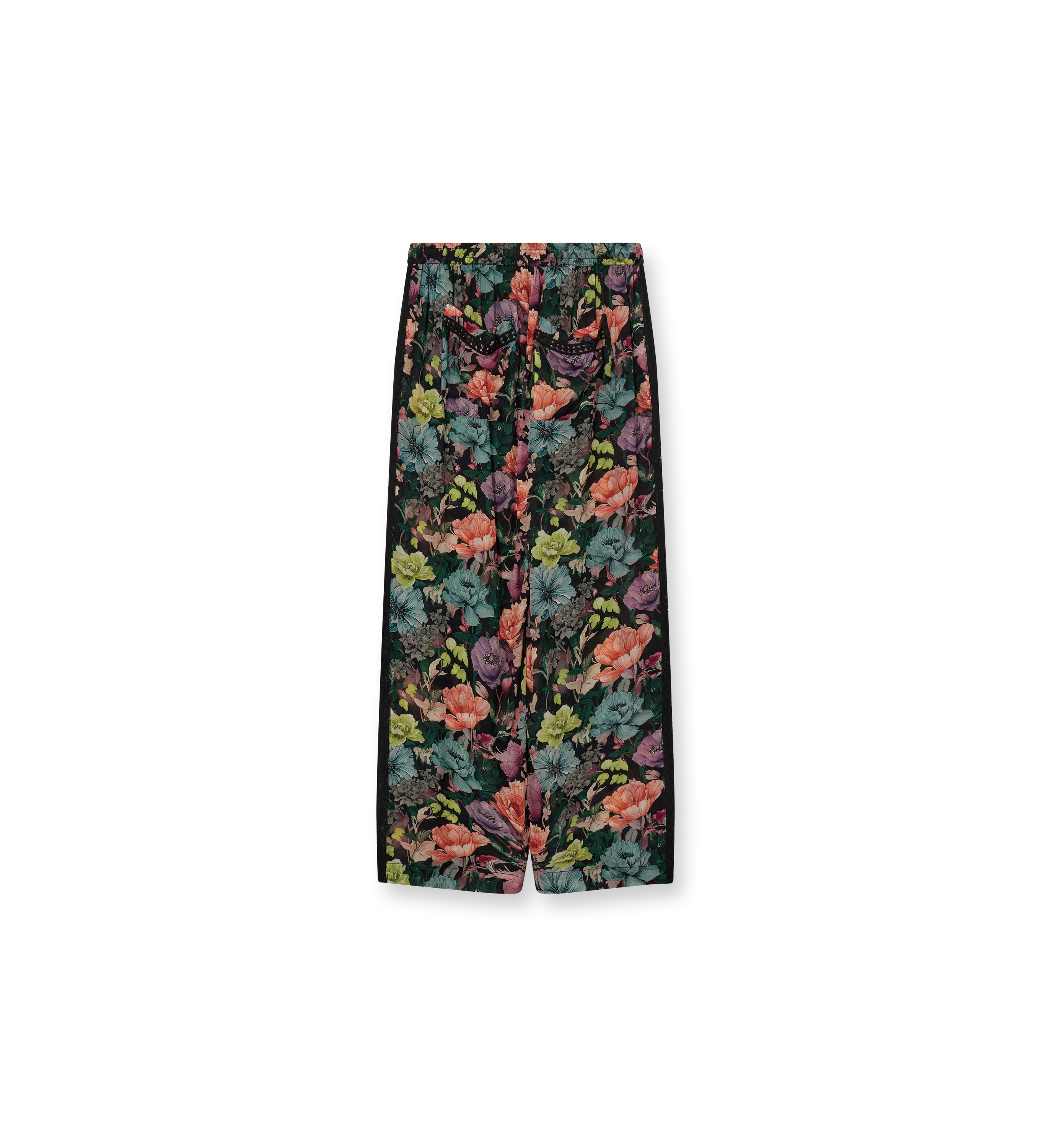 Packshot / Carrot / Back